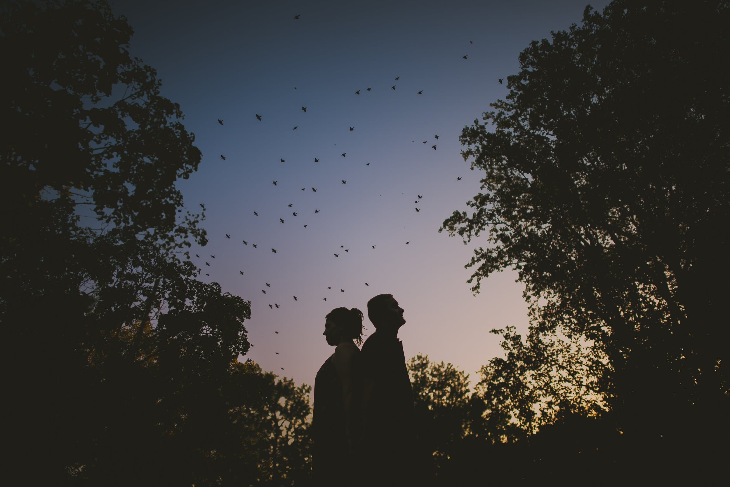 A couple silhouetted against the sky at dusk, with birds overhead