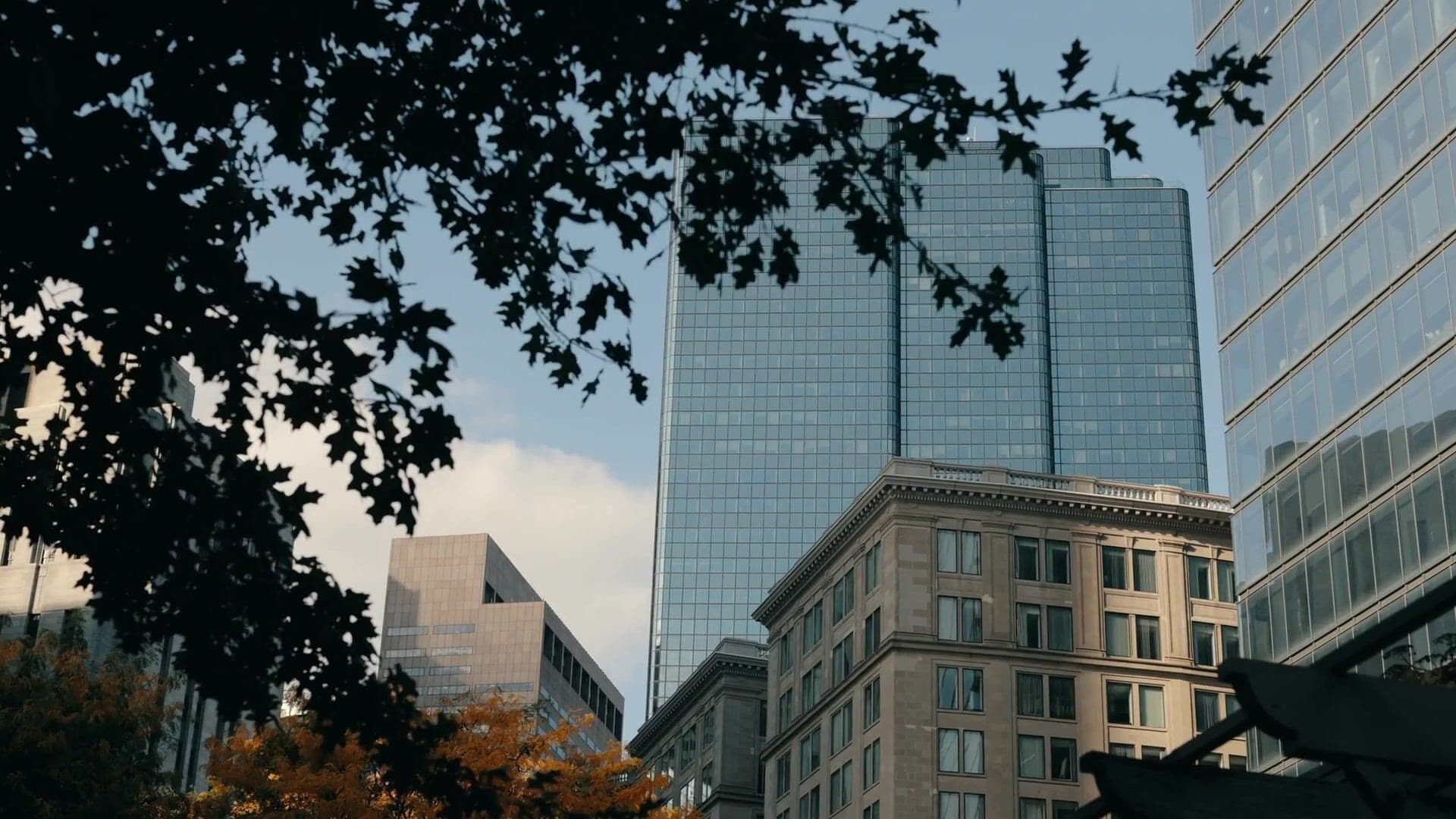 Glass towers of Boston’s Financial District seen from street level through autumn leaves